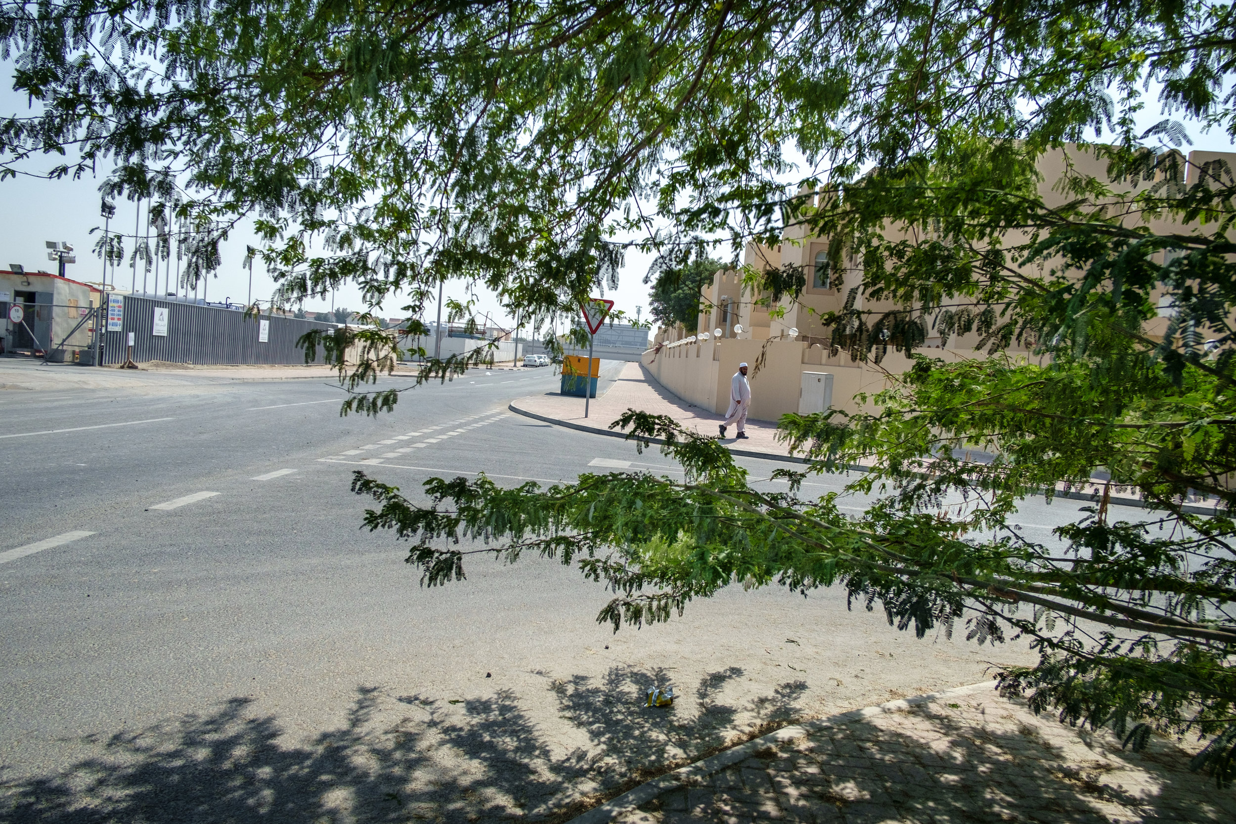  A man is framed by branches of a tree on the streets of the Al Waab district of Doha. 