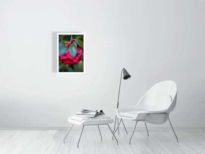 8286922.jpg