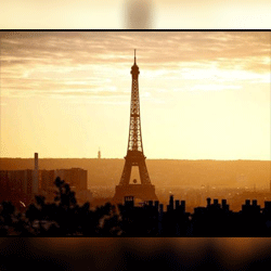 Paris OECD Expert Meeting 2 November 2016, Paris, France