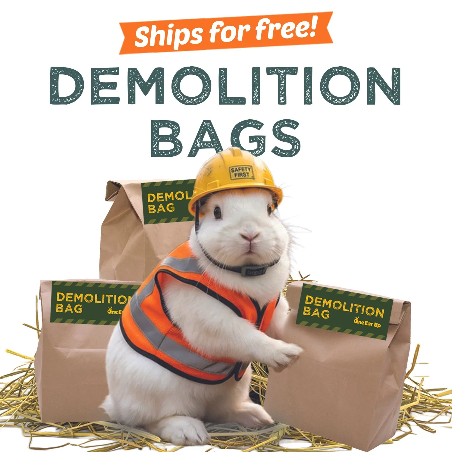 demolitionbag copy.jpg