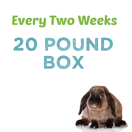 20lb-two-weeks-subscription.gif