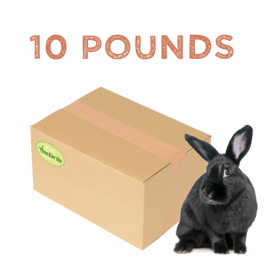 10lbs-NEW.gif