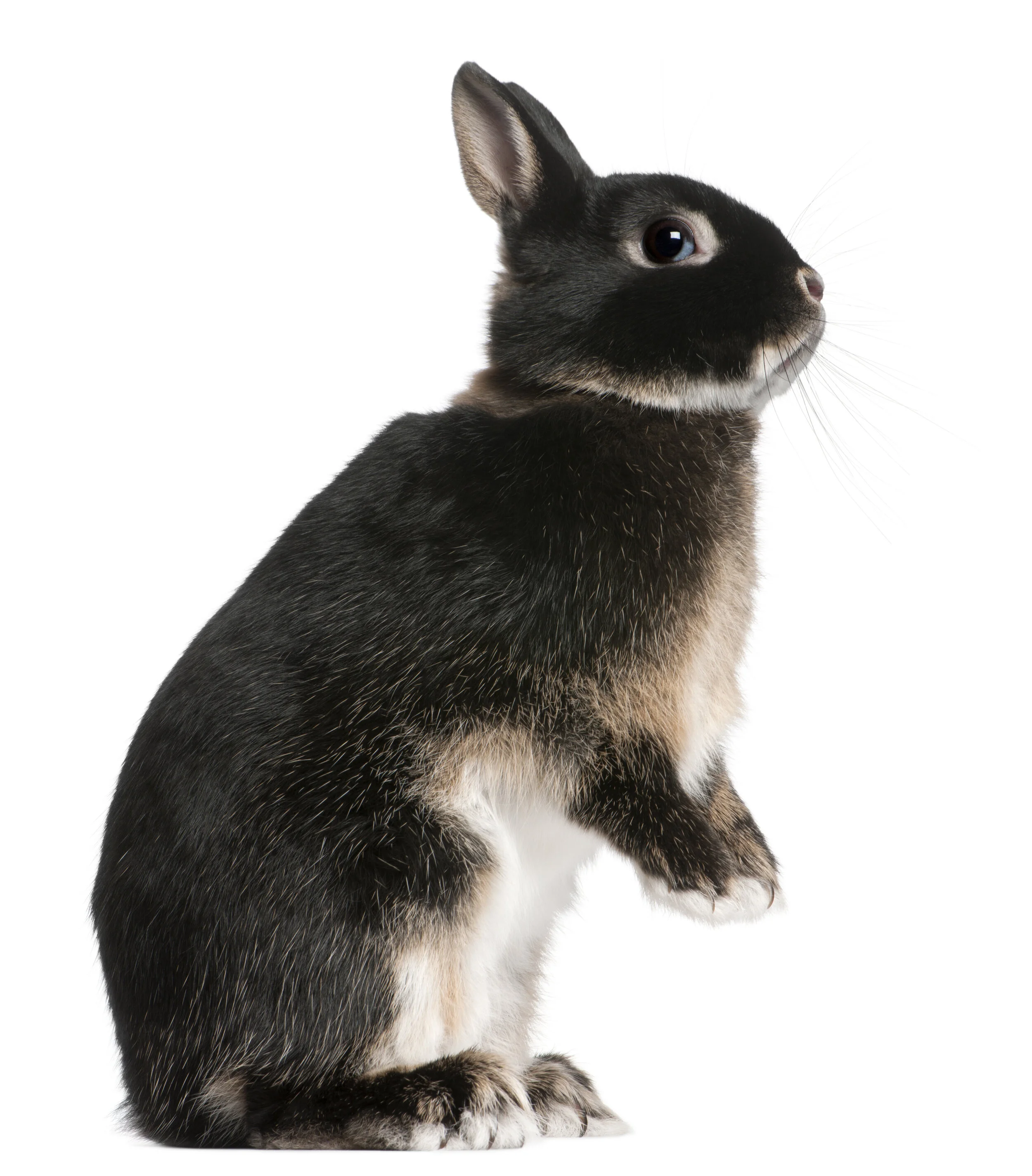 AdobeStock_29287340.jpeg