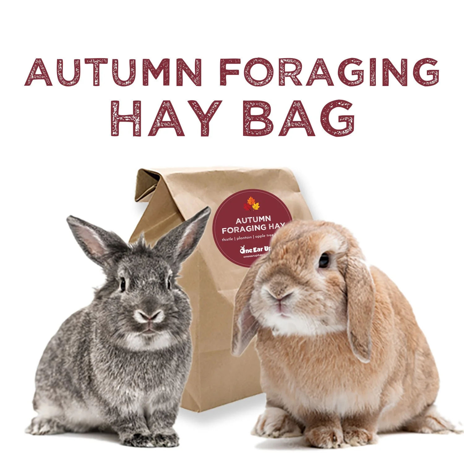 Autumn Foraging Bag copy.jpg