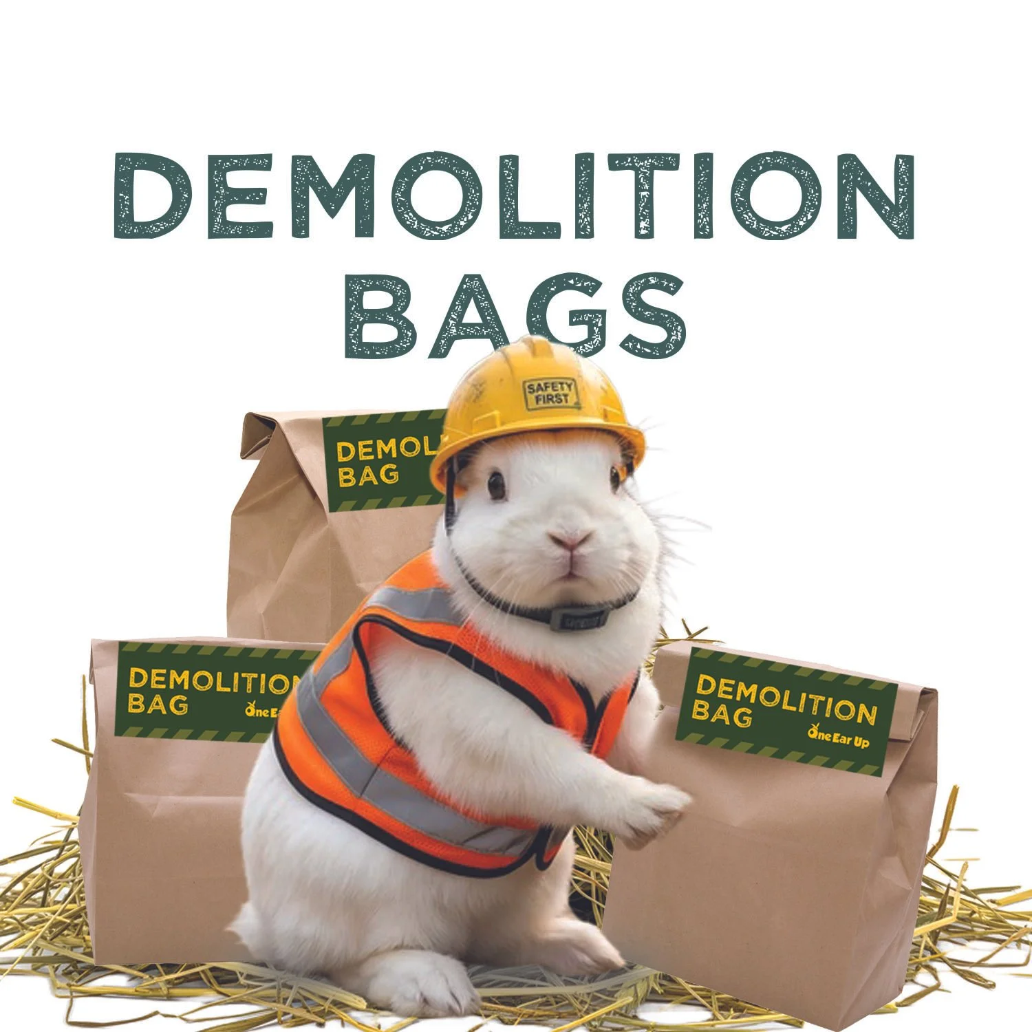 demolitionbag copy.jpg