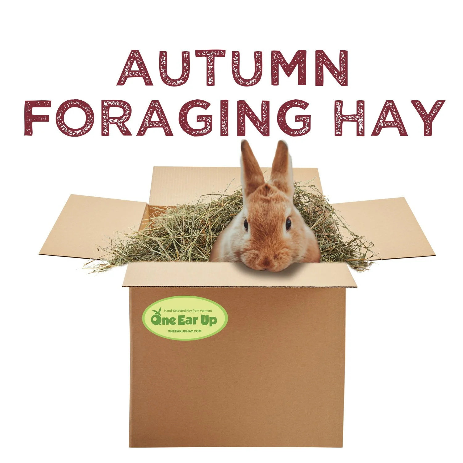 Autumn Foraging Hay copy.jpg