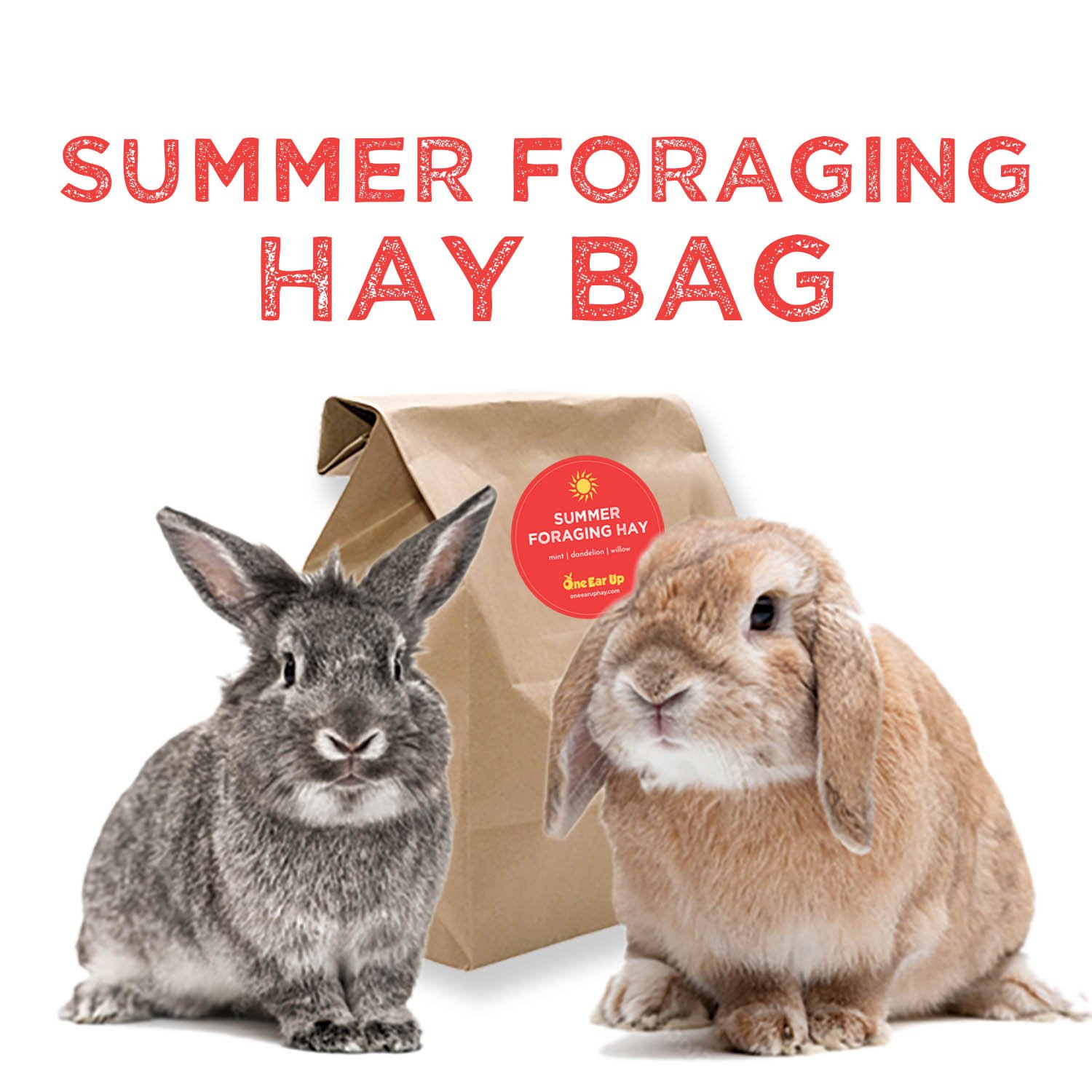 Summer Foraging Bag copy.jpg