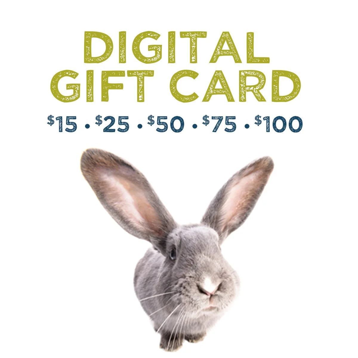 holiday gift card graphic copy.jpg