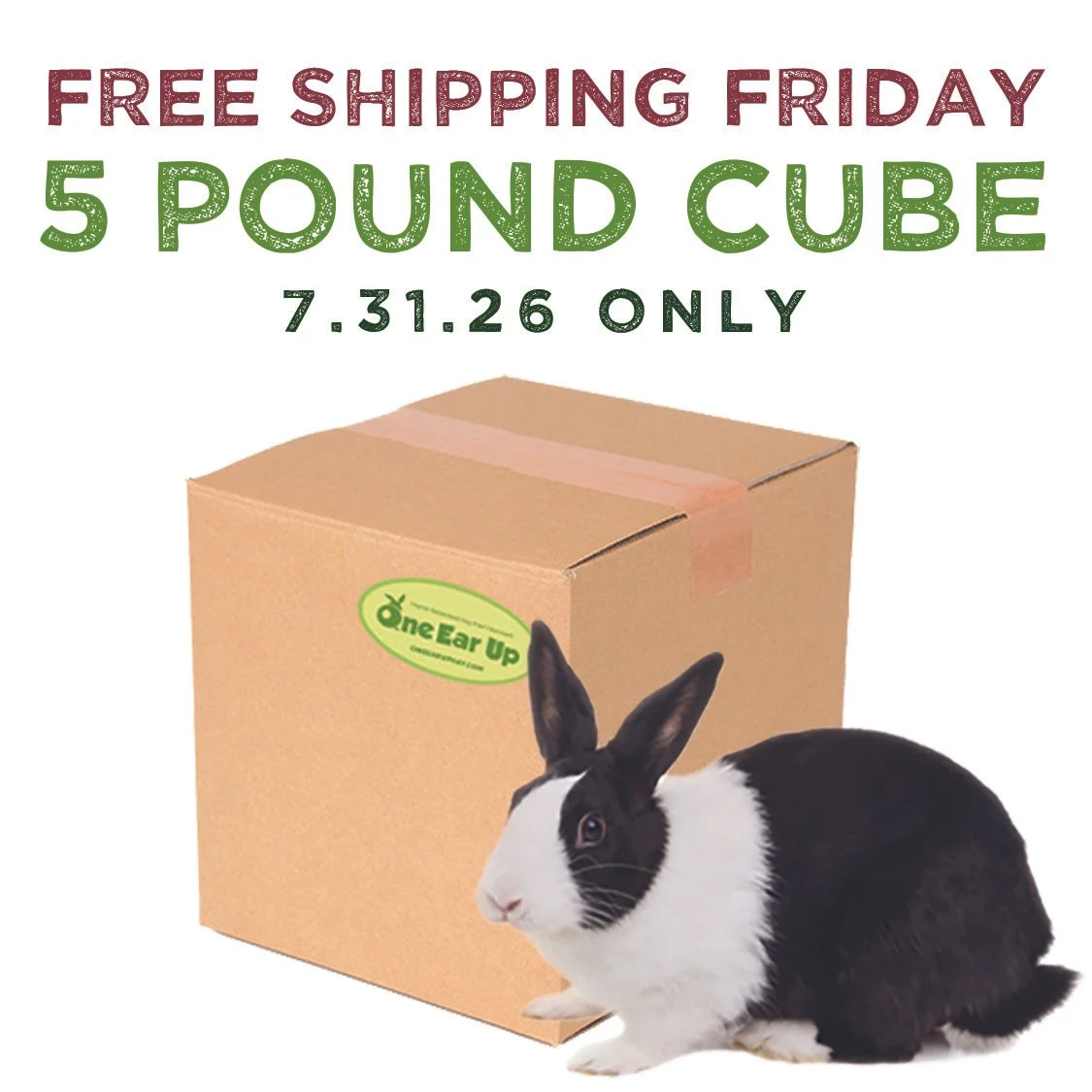 5lbs free shipping copy.jpg