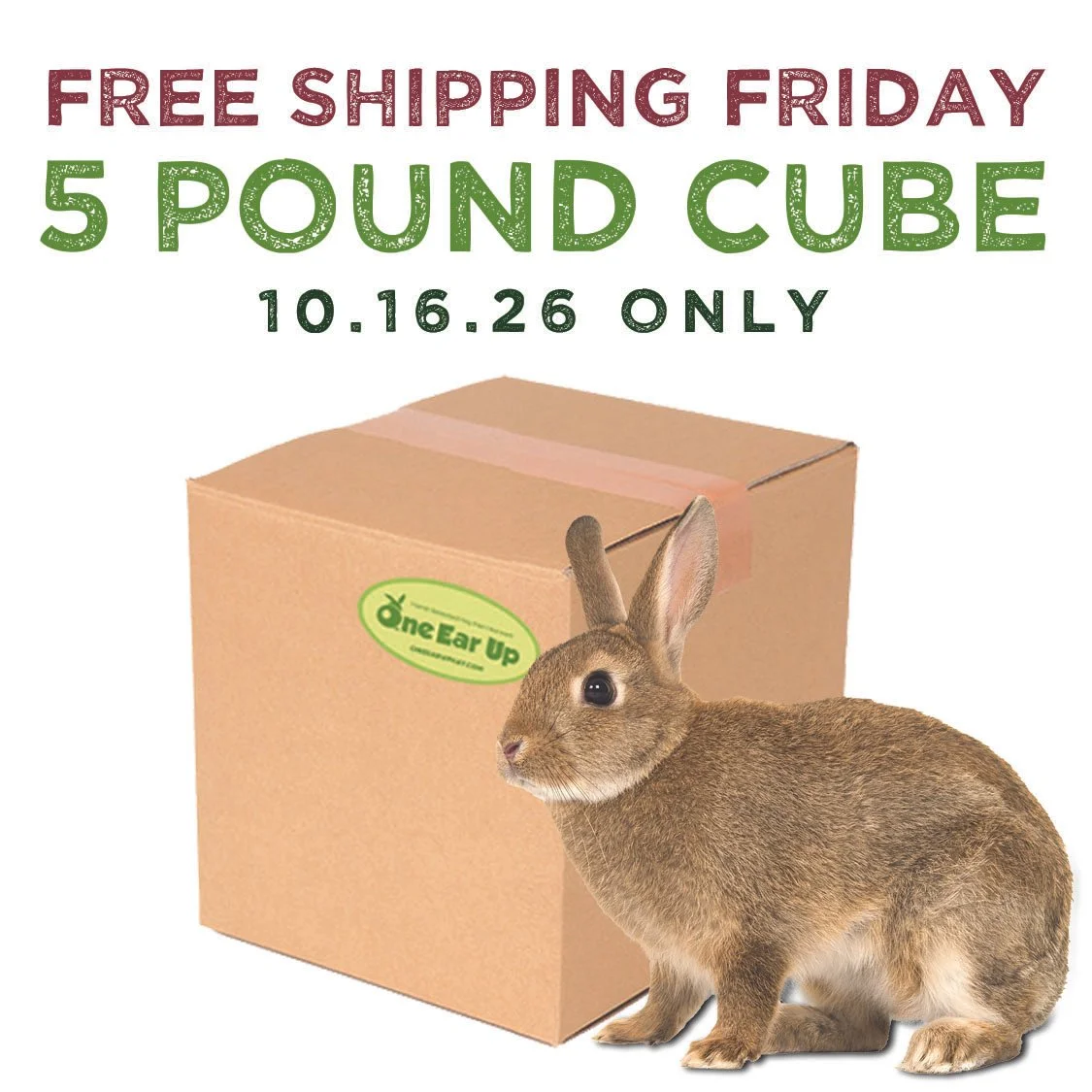 5lbs free shipping copy 3.42.07 PM.jpg