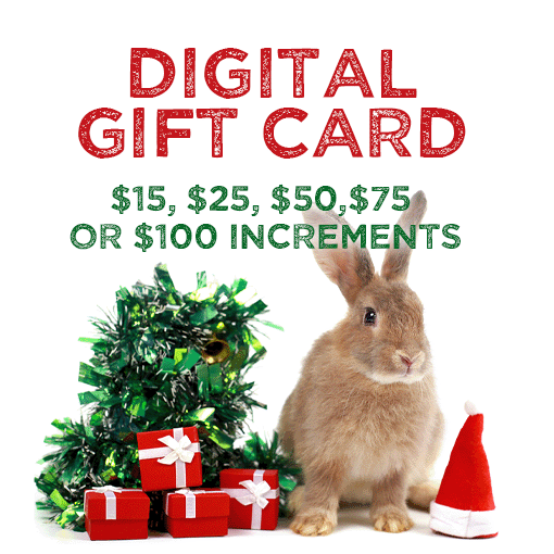 holiday gift card graphic copy.gif