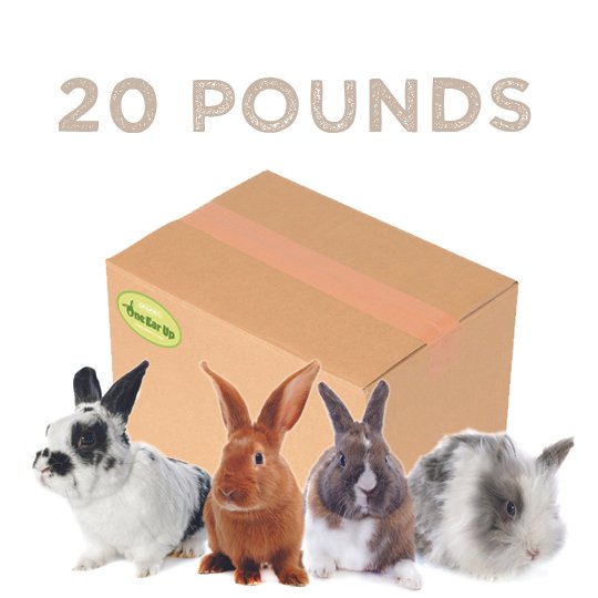 20lbs NEW copy.jpg