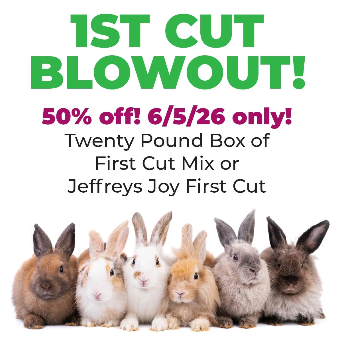 First Cut Blowout copy.jpg