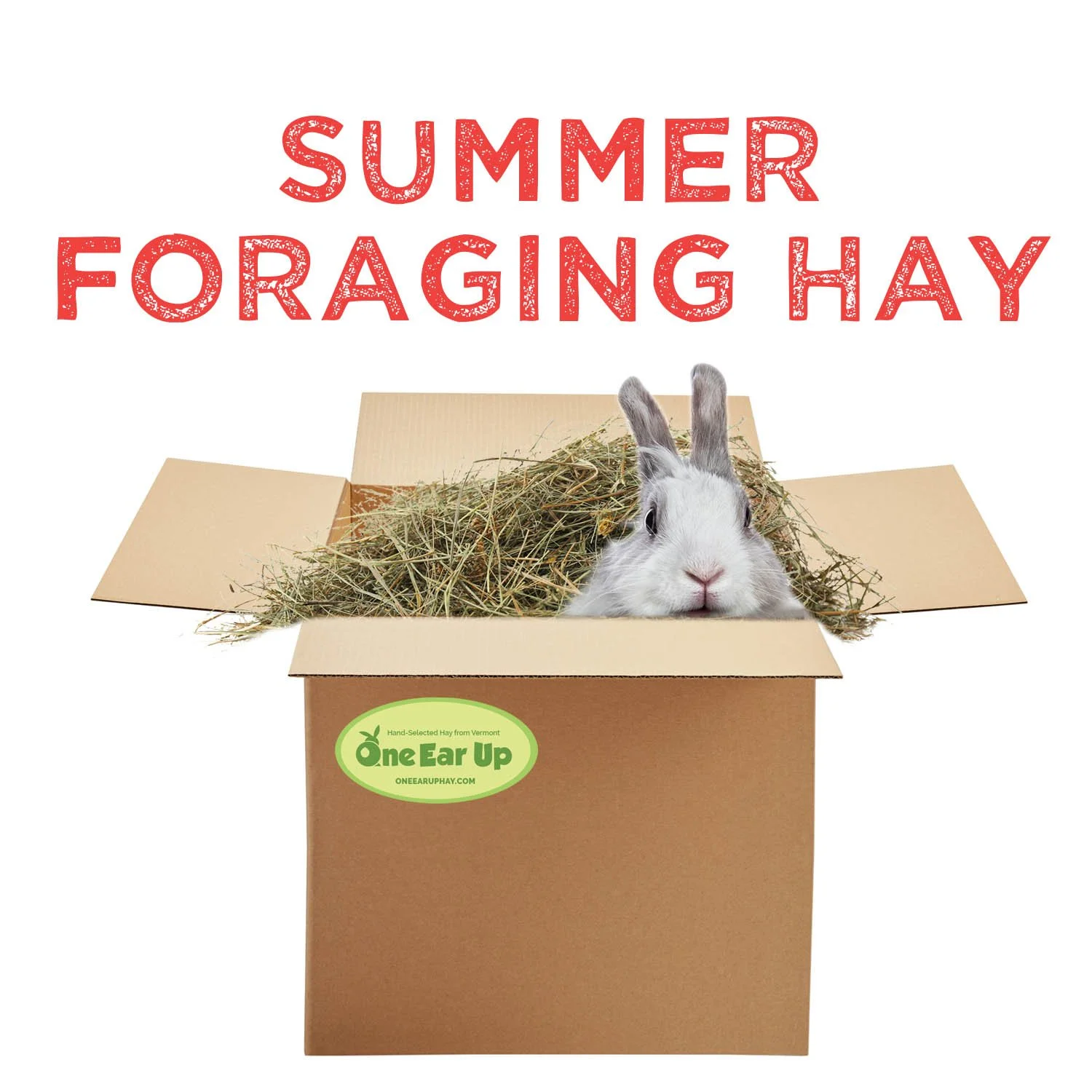 Summer Foraging Hay copy.jpg