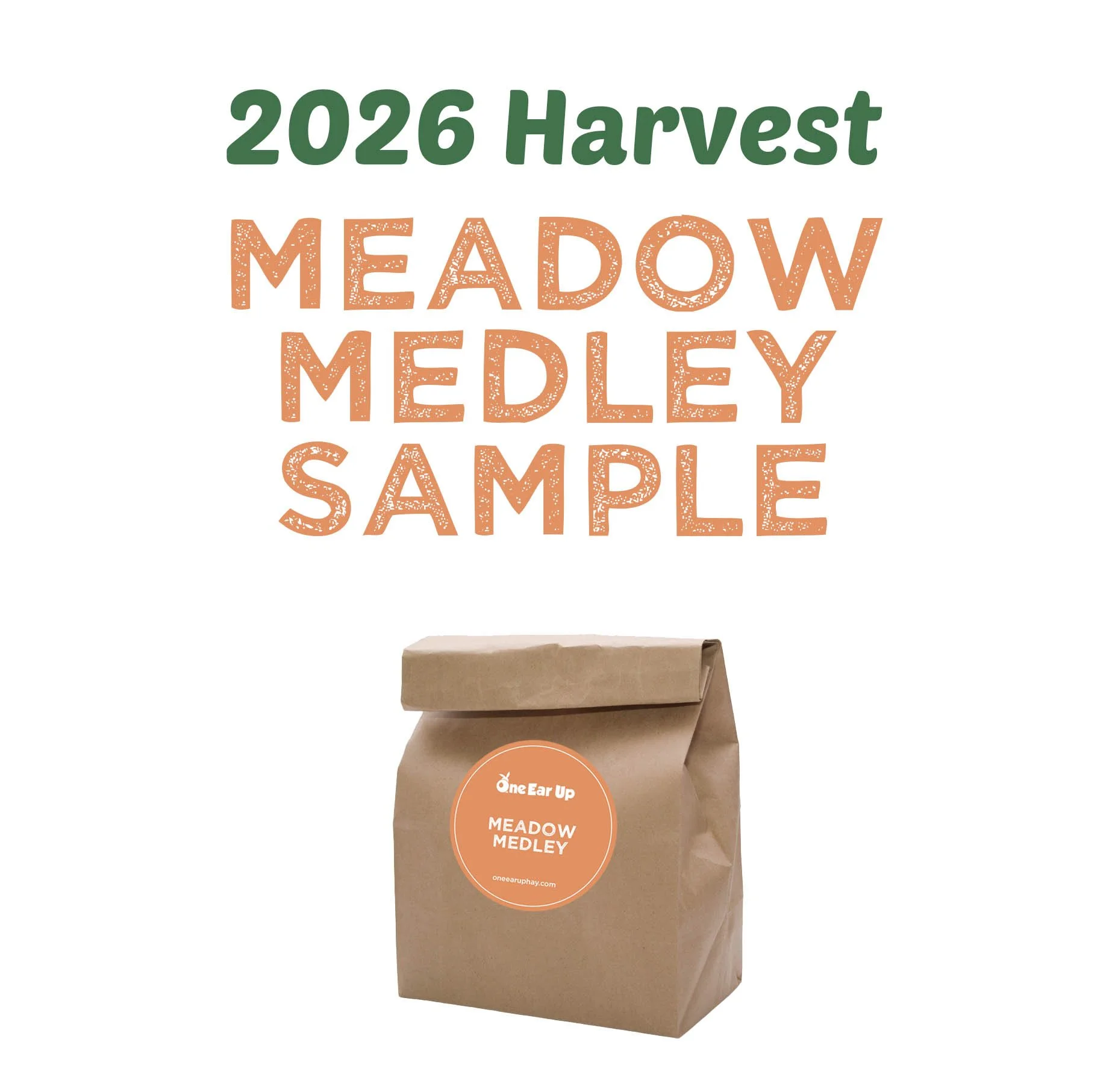 NEW HARVEST Meadow copy.jpg
