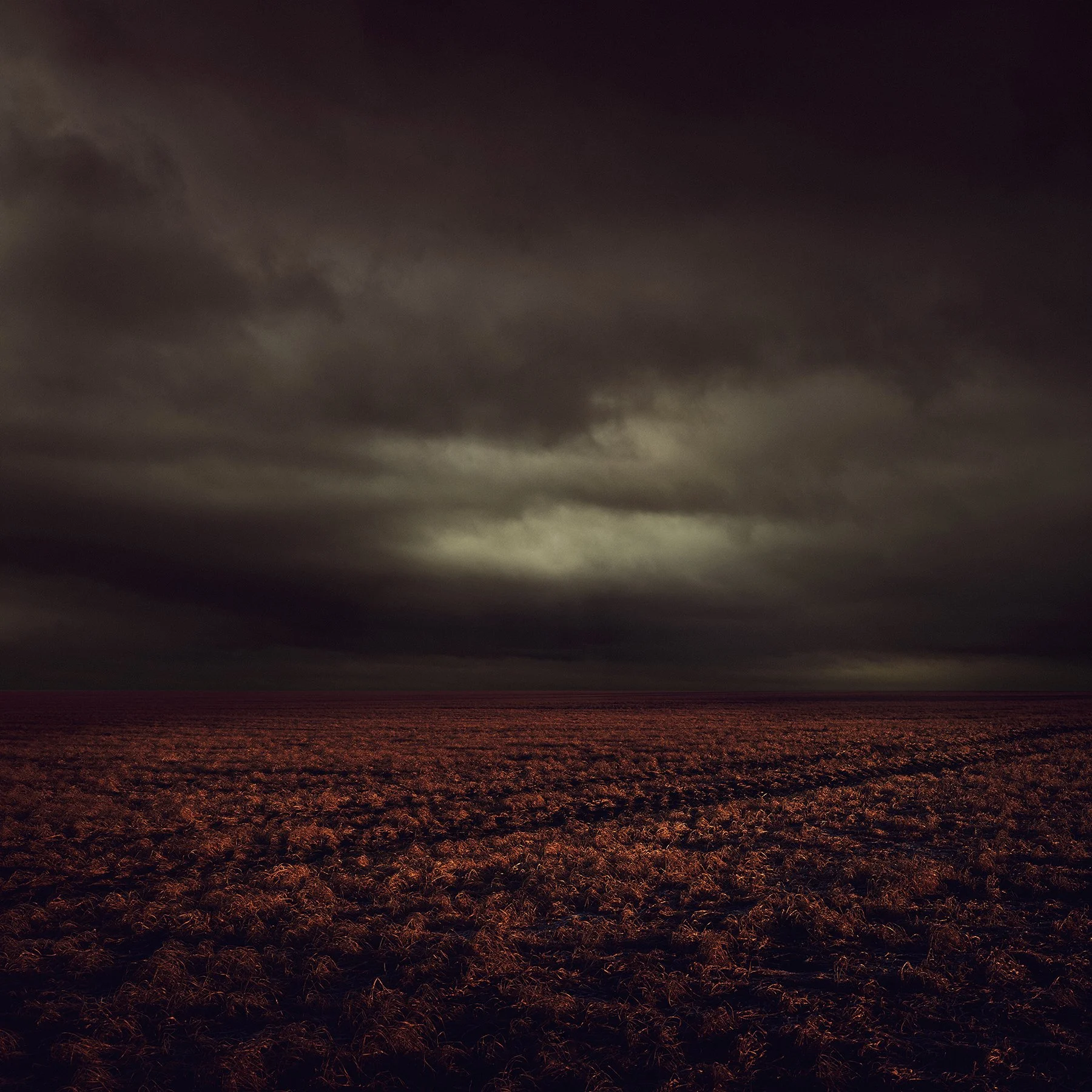 Stuble field final.jpg