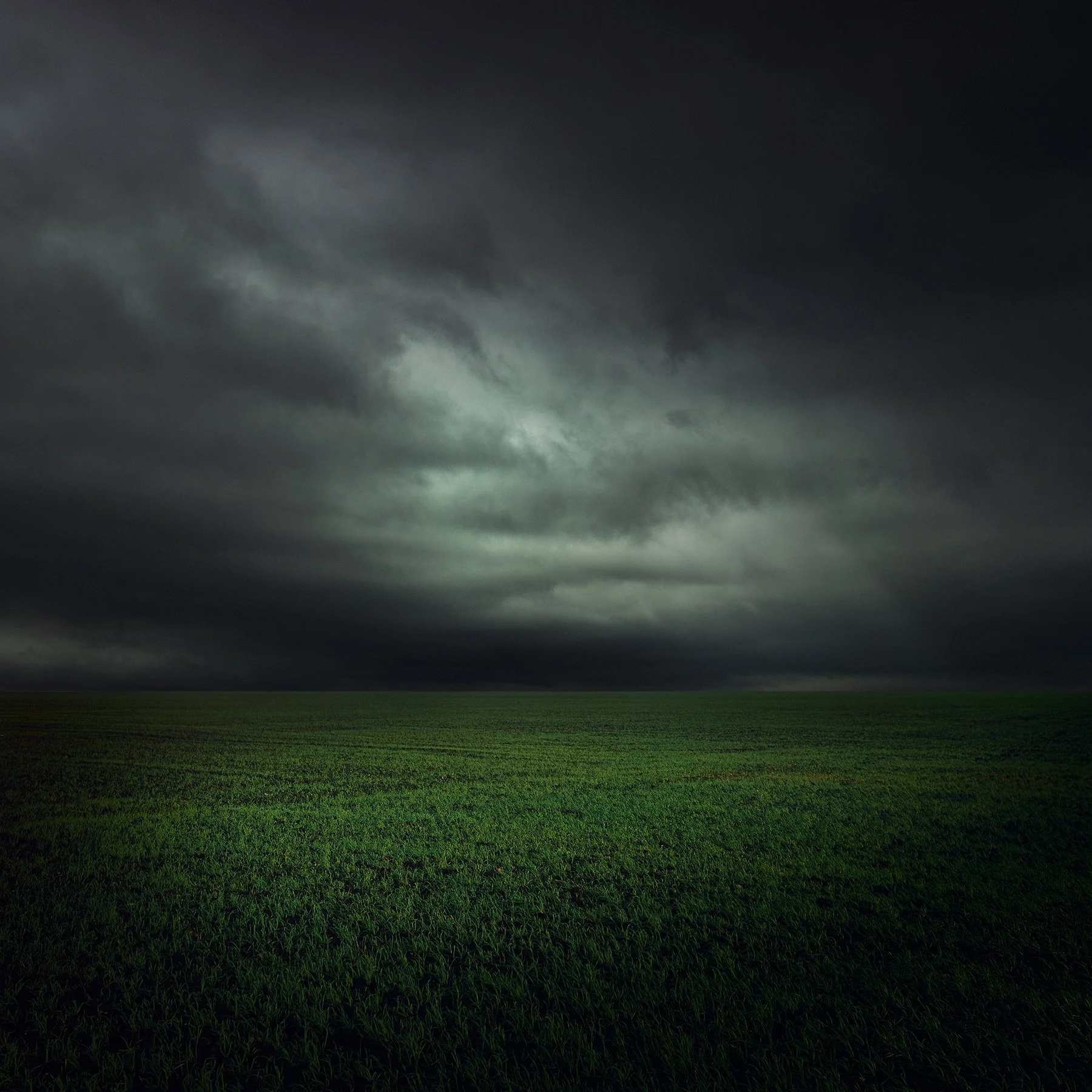 Fenland grass final.jpg