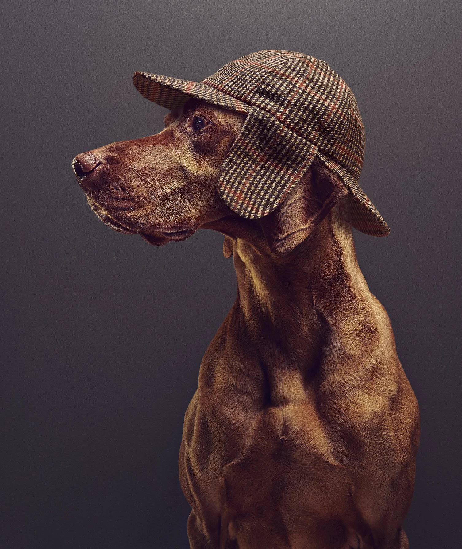 Dexter Stalker final.jpg