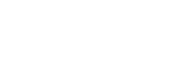 Protection-White.png