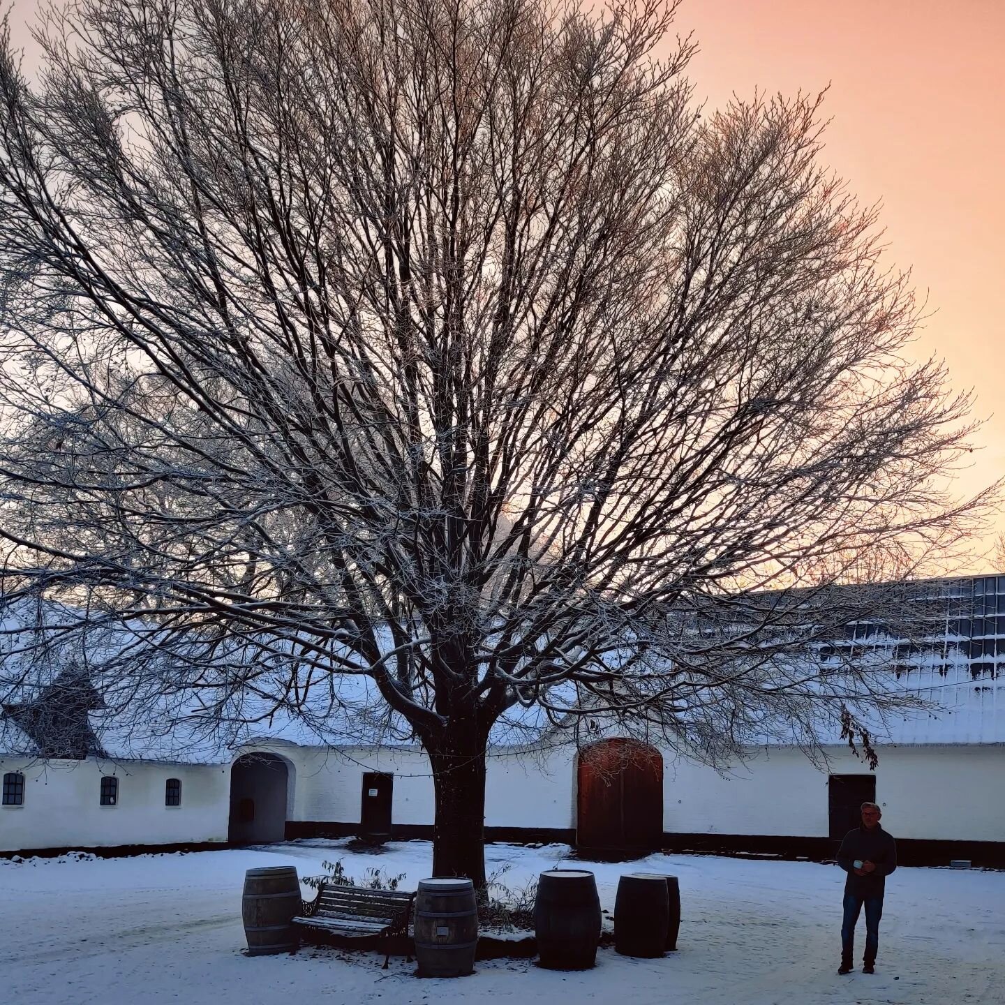 Morgenkaffe p&aring;@bogedal 's g&aring;rdsplads
Gl&aelig;delig sidste sneweekend❄️❄️❄️
Hvor har det v&aelig;ret en forn&oslash;jelse med sne i december 🍻

#boegedal 
#vejle
#morgenkaffe☕️ 
#godjul❤️ 
#&oslash;l