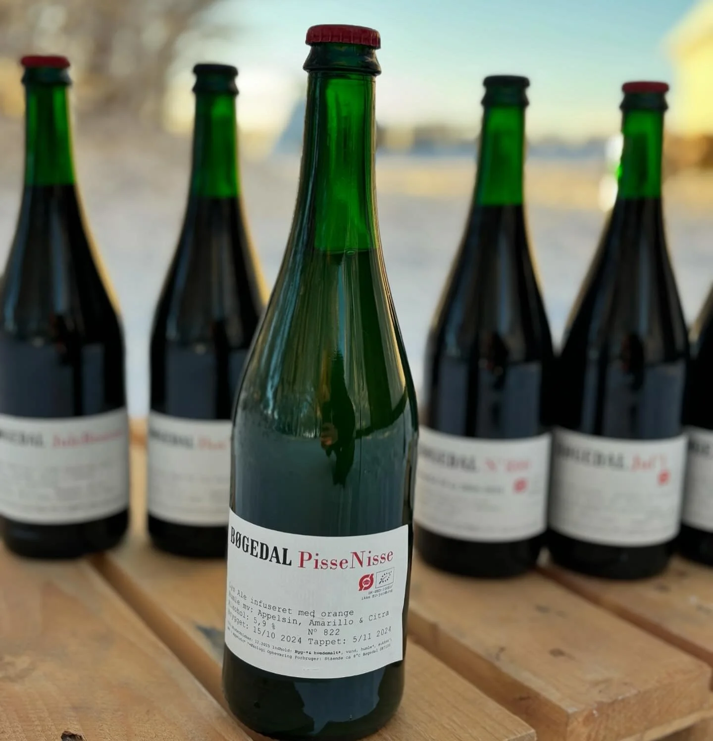 &Aring;rets nye jule&oslash;l
Lys Ale infused med orange og godt med Humle 🧑&zwj;🎄