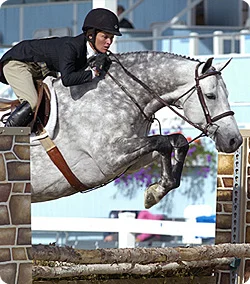  Saturday: World Champion Hunter Rider, Sandy Ferrell ($225.00/Session)