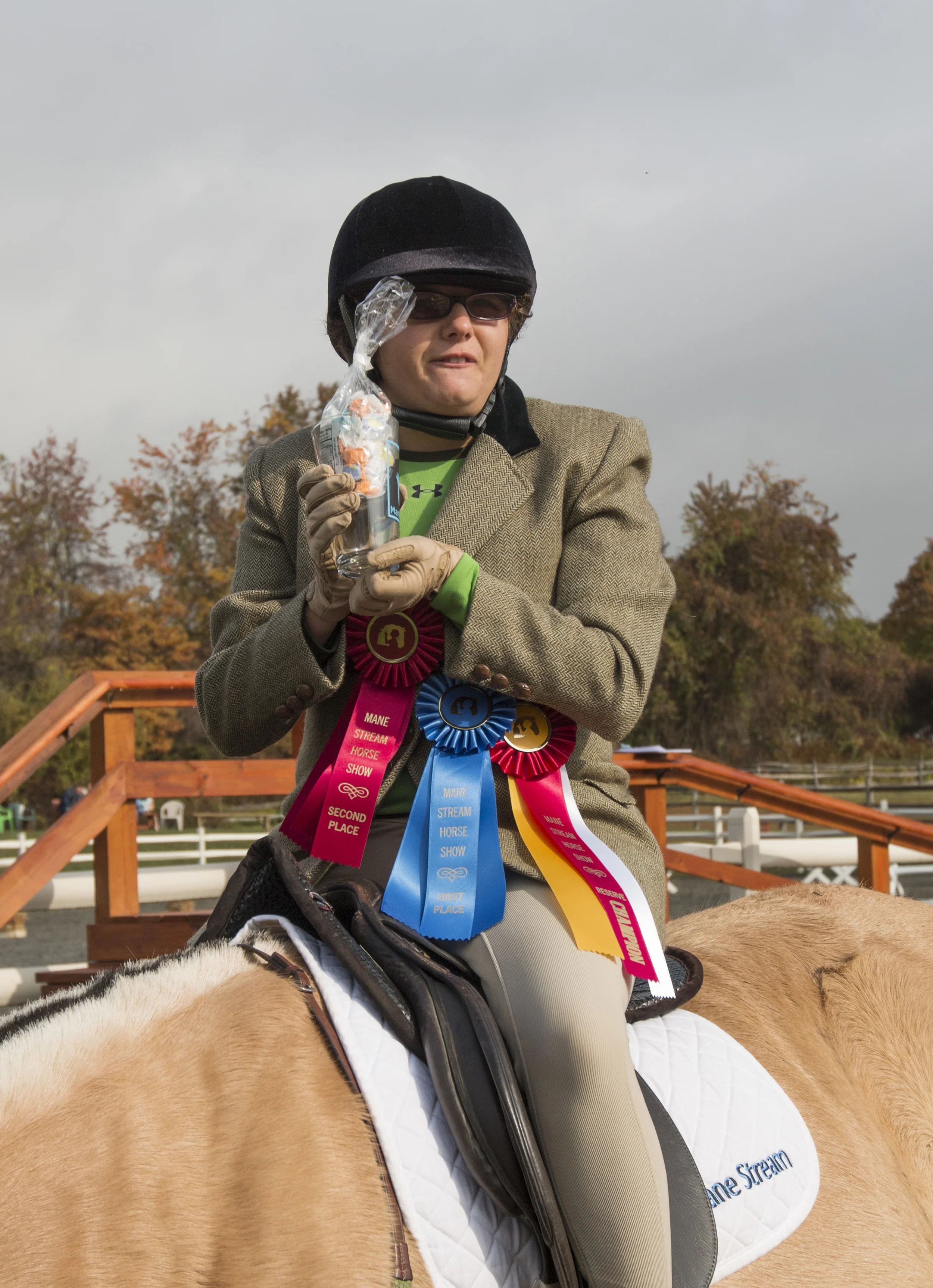 Check out the 2015 Horse Show Gallery