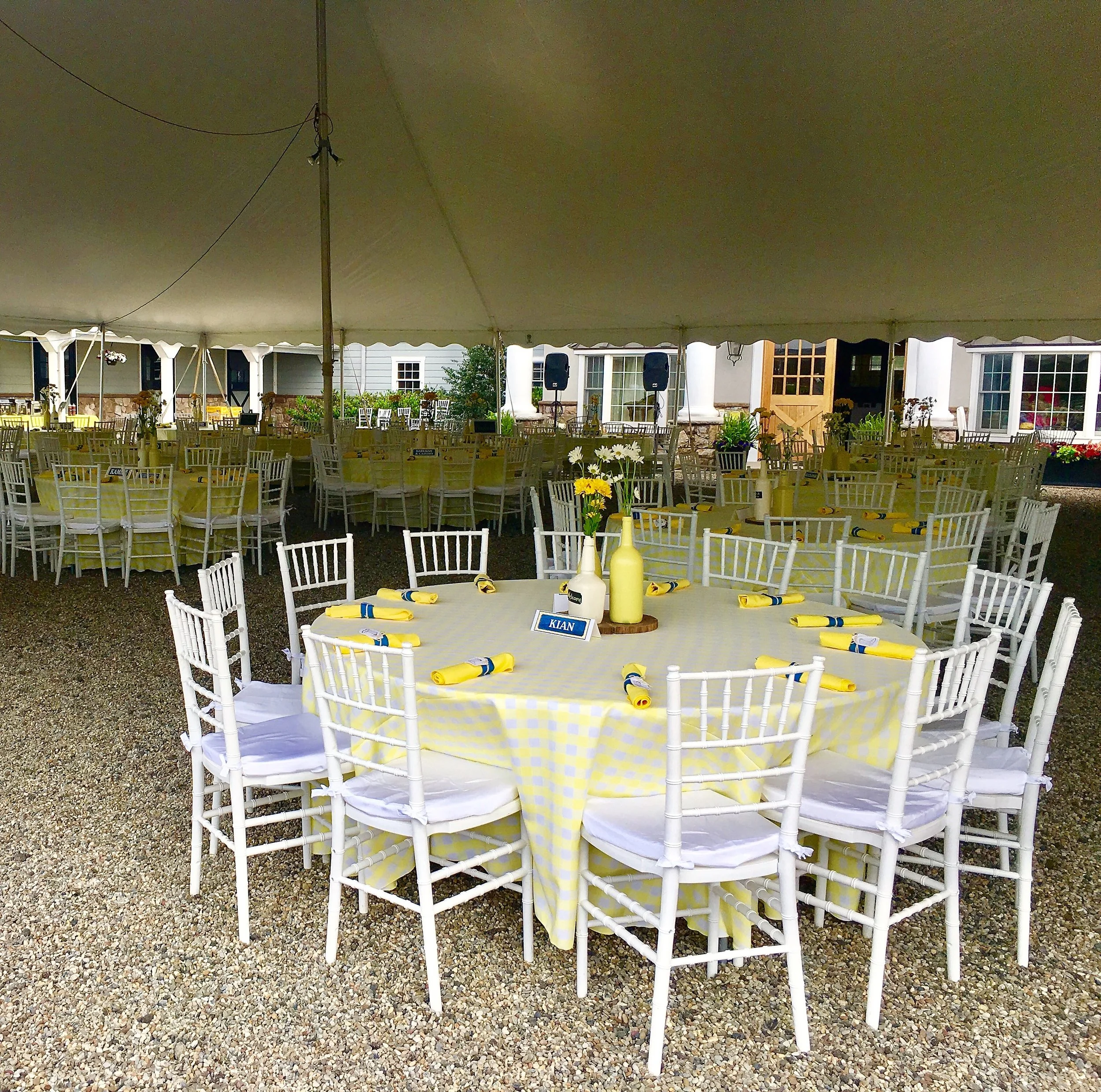 Mane Stream — Gallery-2017 BBQ