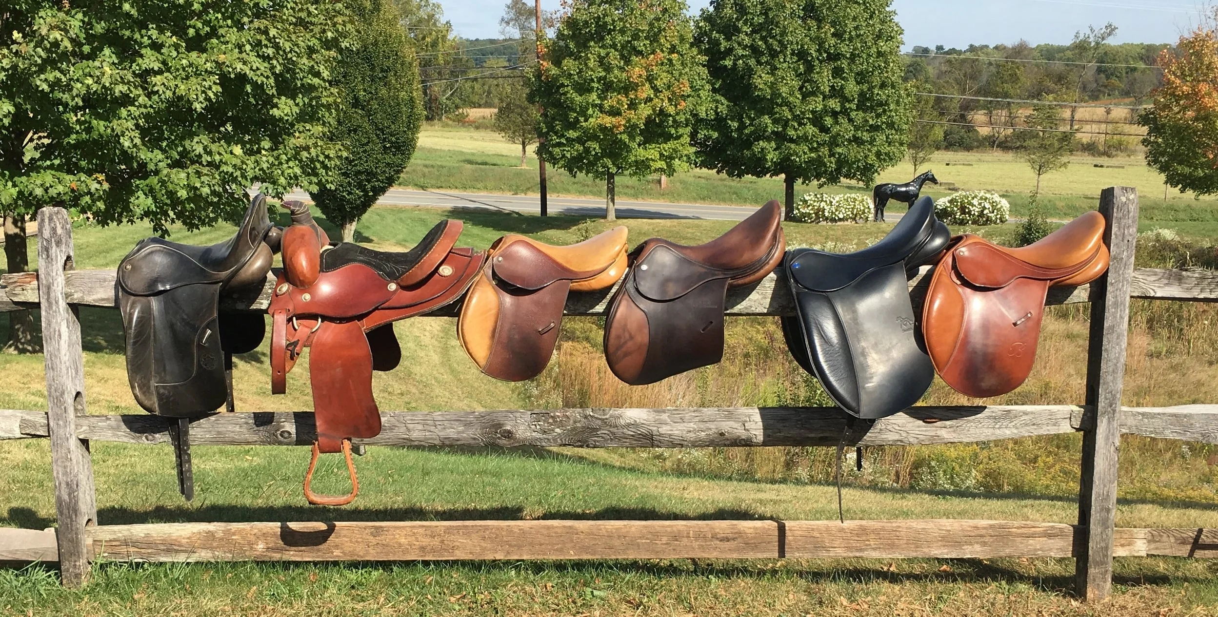 2017 Fall Saddles.jpg