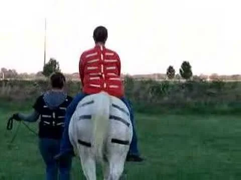 equine movement-2.jpg