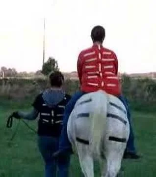 equine movement-2.jpg