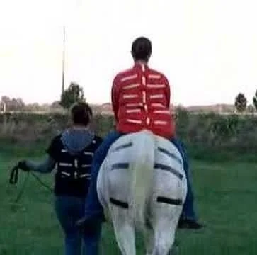 equine%252Bmovement-2.jpg