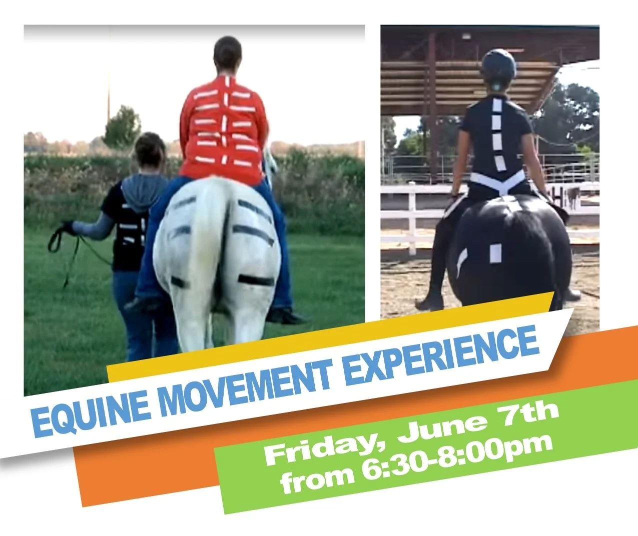 Equine Movement Experience -image.jpg