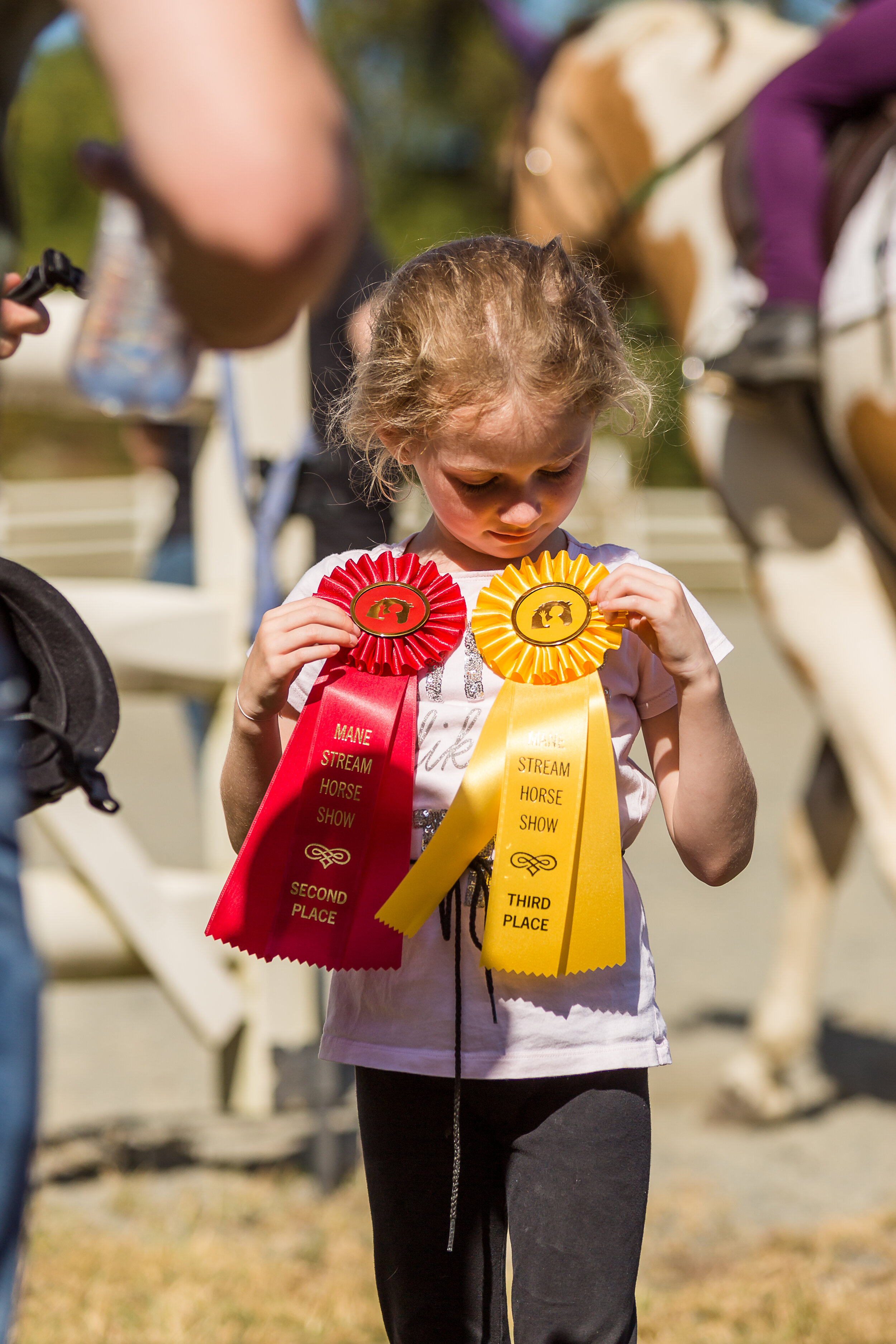 mane_stream_horse_show-197.jpg