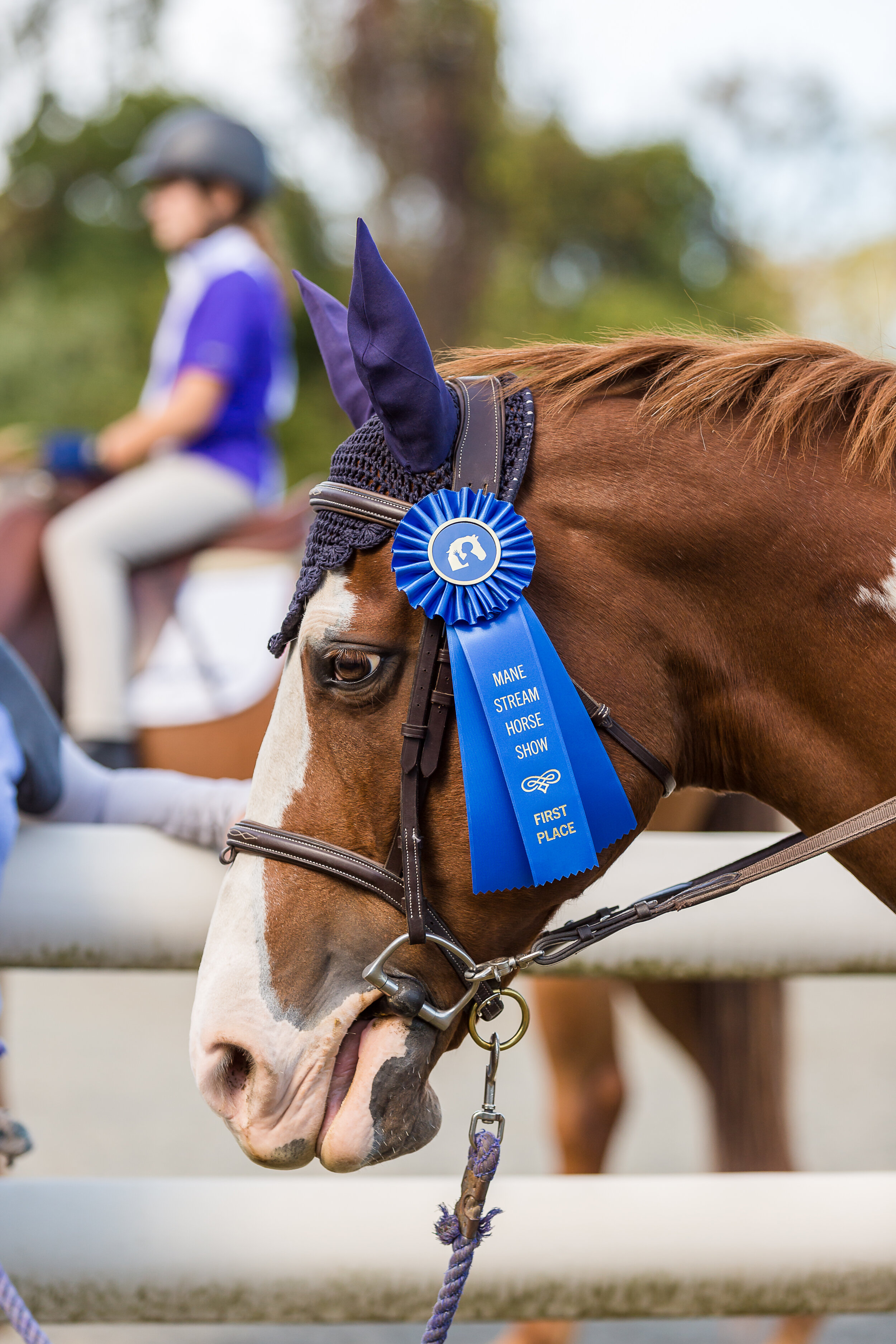 mane_stream_horse_show-204.jpg