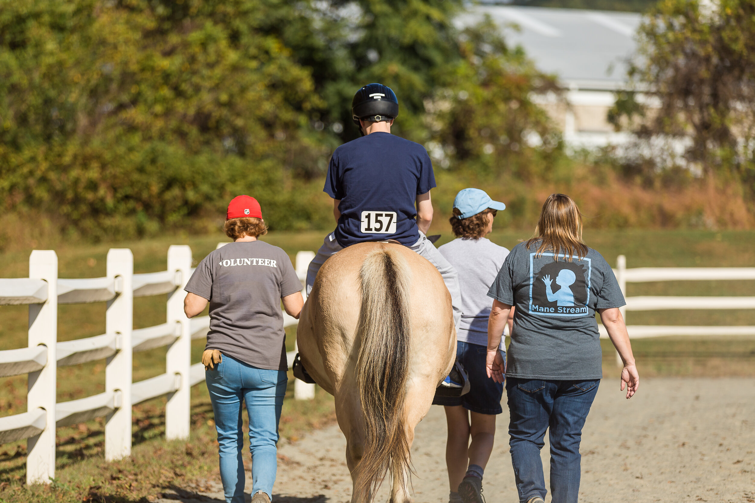 mane_stream_horse_show-6.jpg