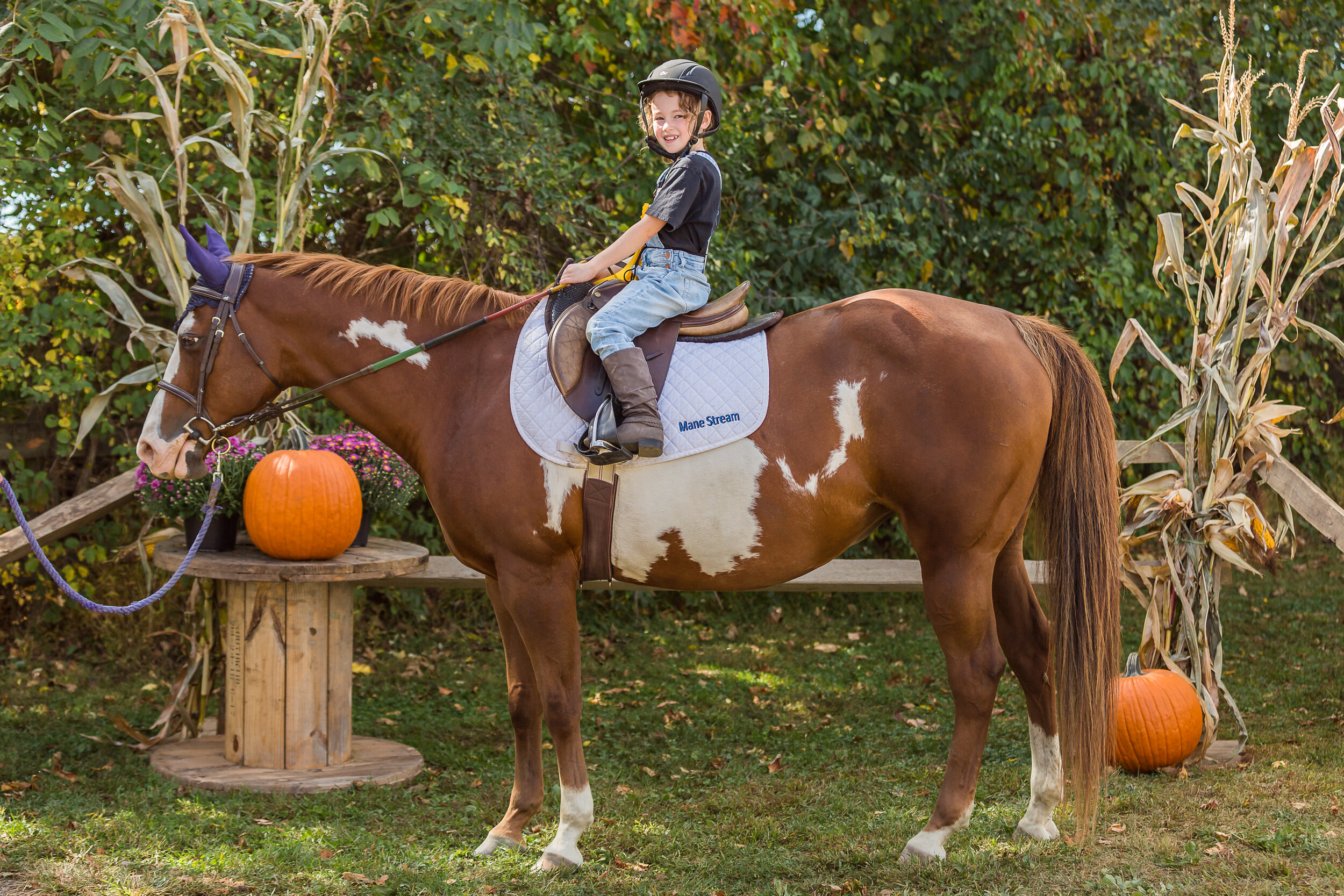 mane_stream_horse_show-183.jpg