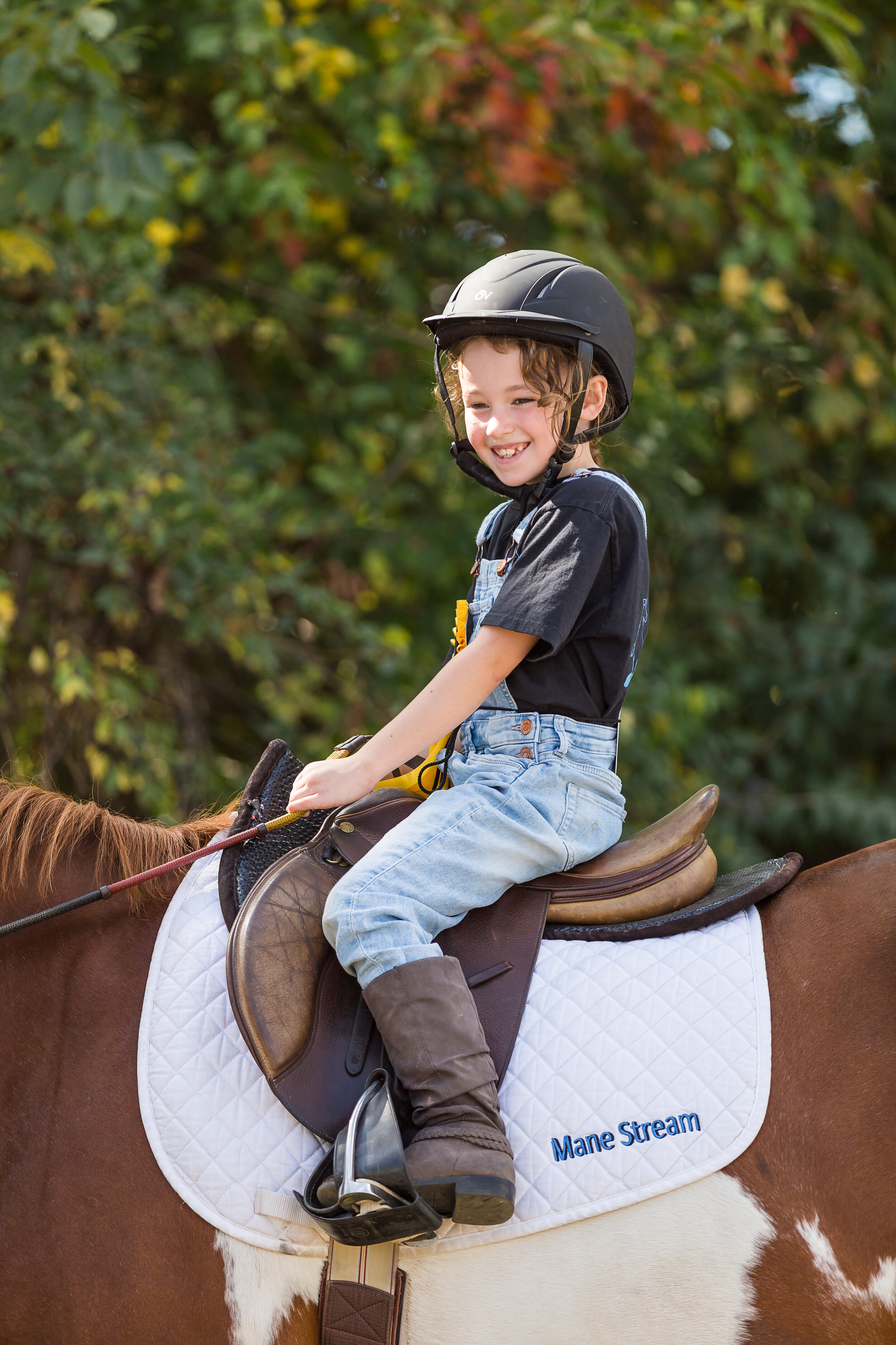 mane_stream_horse_show-185.jpg