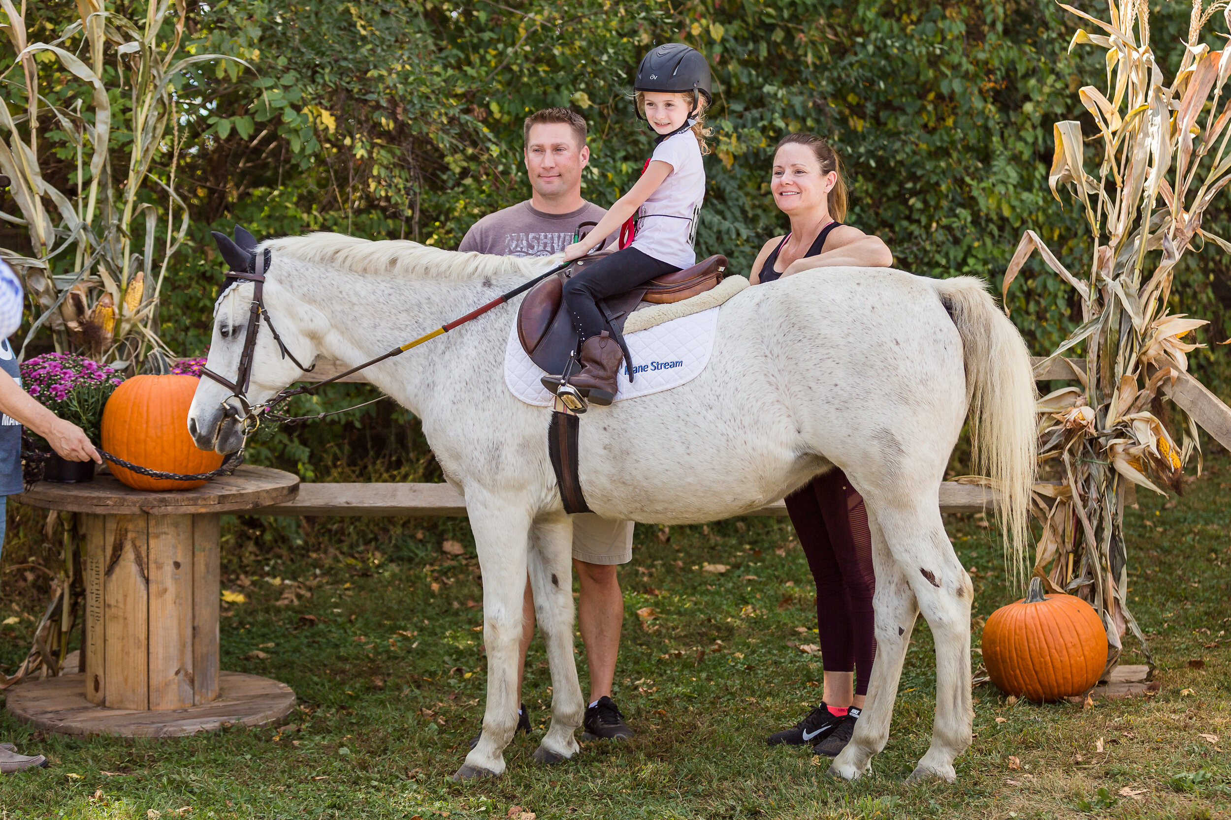 mane_stream_horse_show-196.jpg