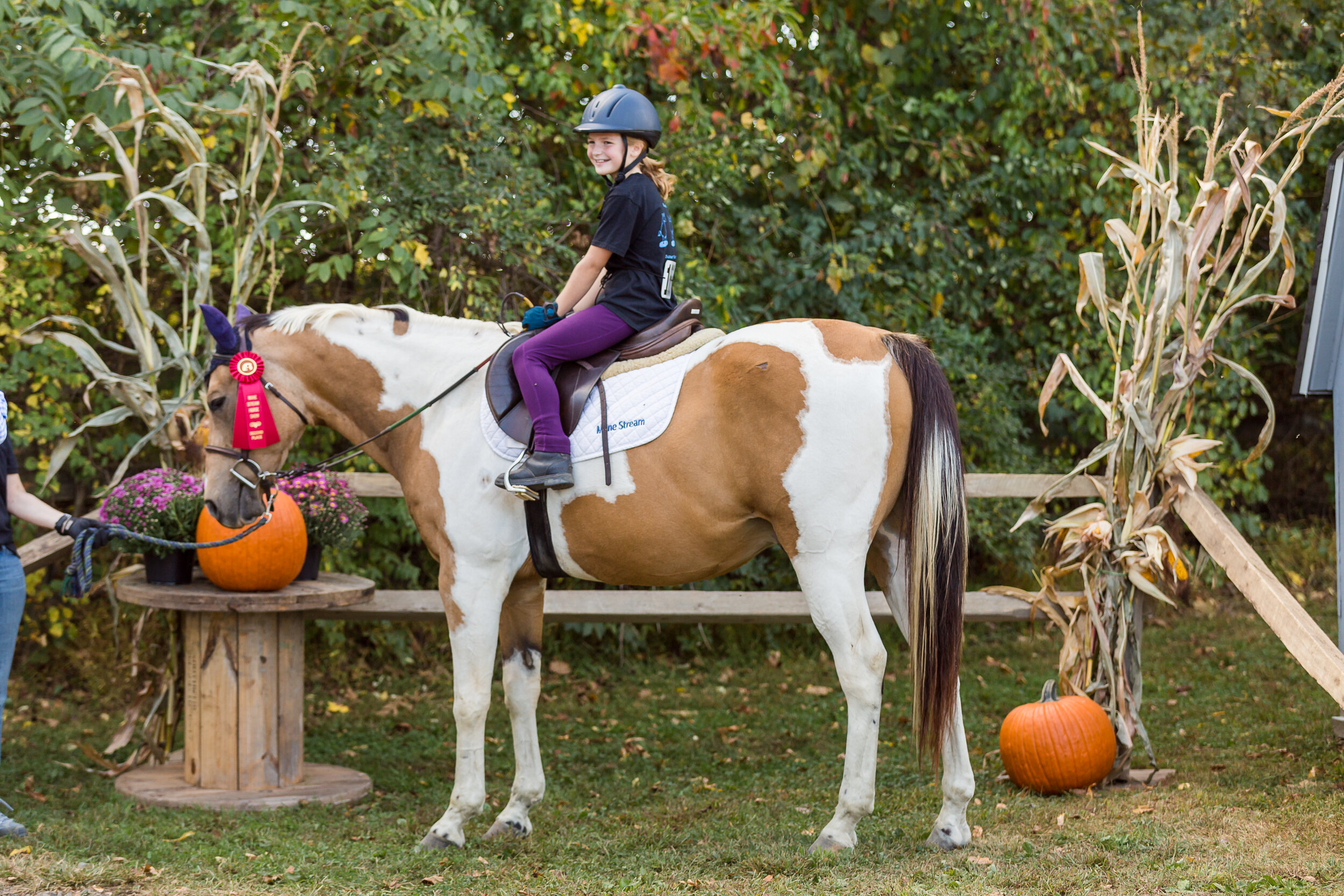 mane_stream_horse_show-205.jpg