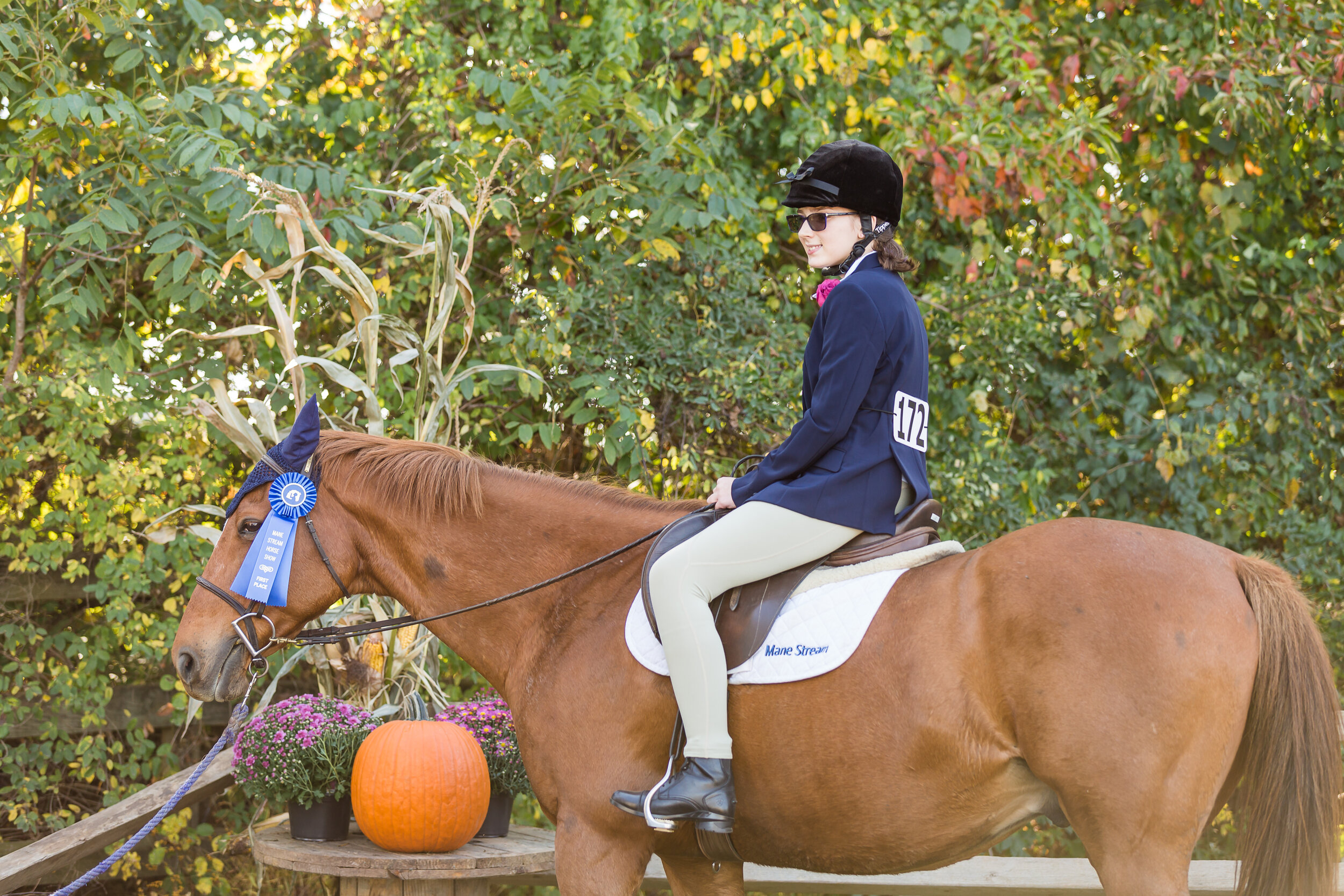 mane_stream_horse_show-243.jpg