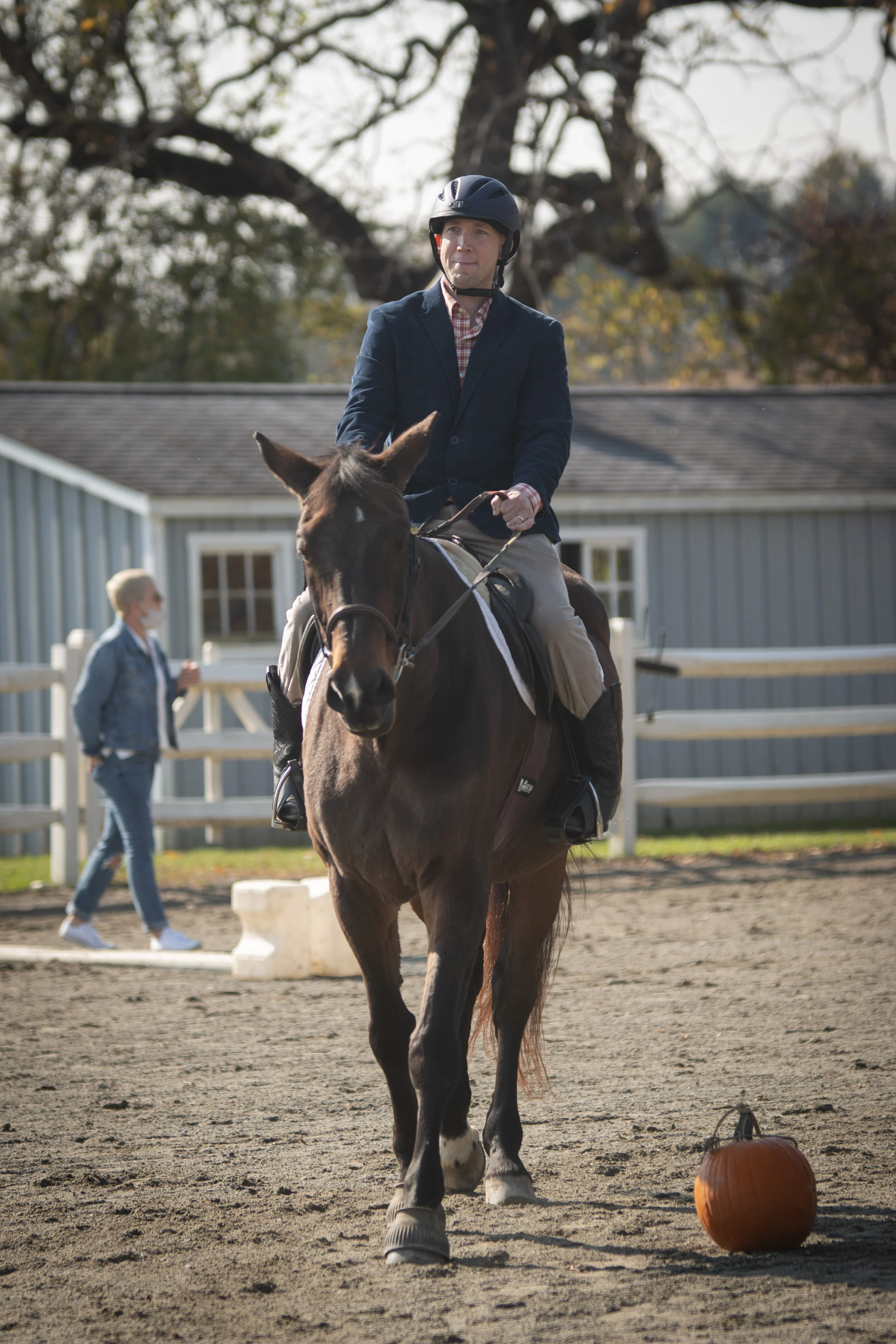 Mane Stream — Horse Shows