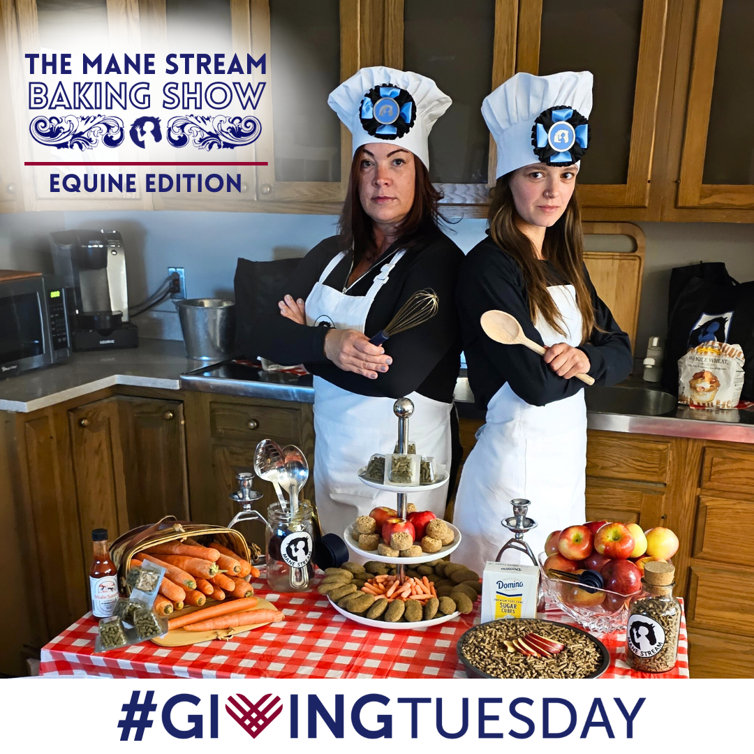 #GivingTuesday 2023 - Mane Stream Baking Show (2).png