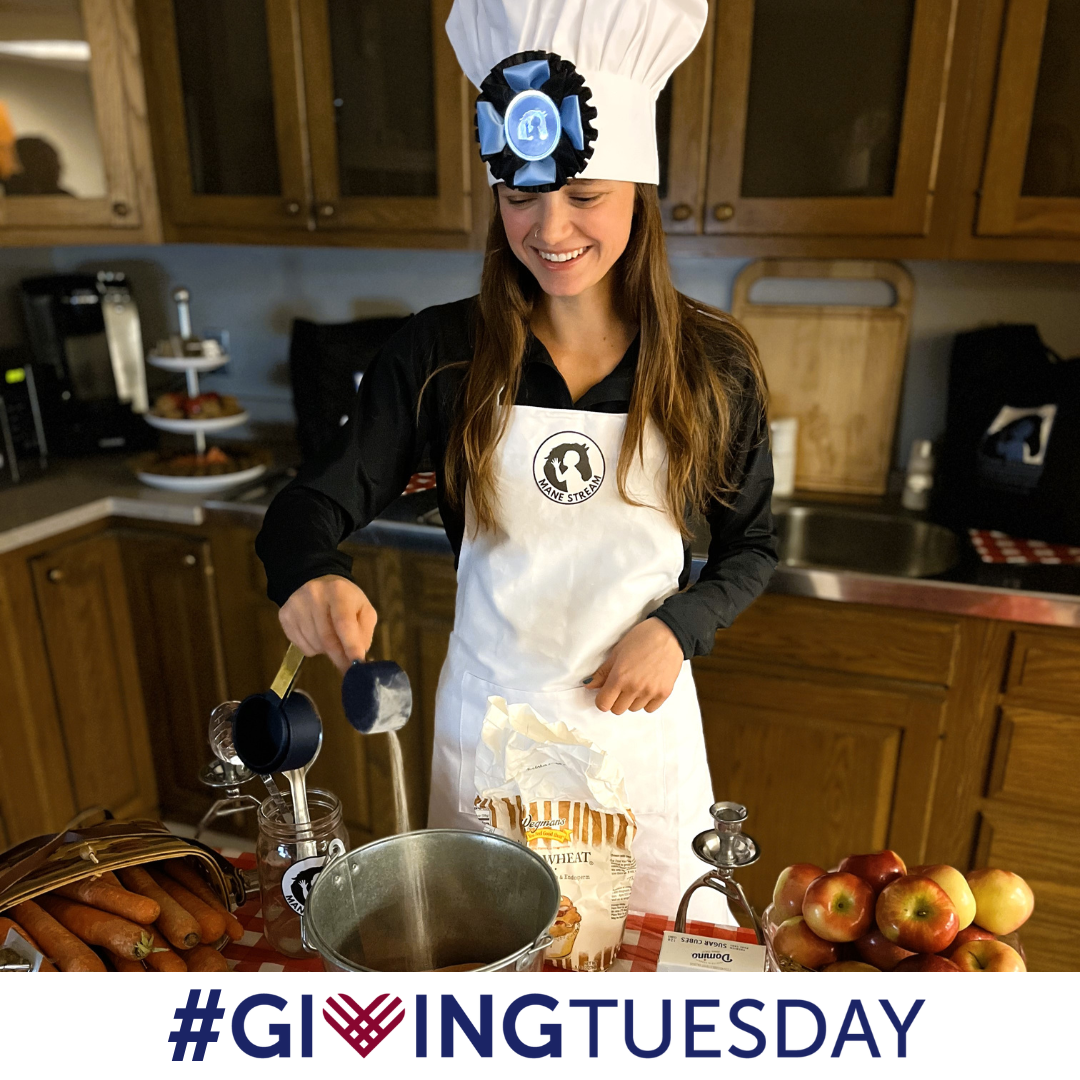 #GivingTuesday 2023 - Mane Stream Baking Show (4).png
