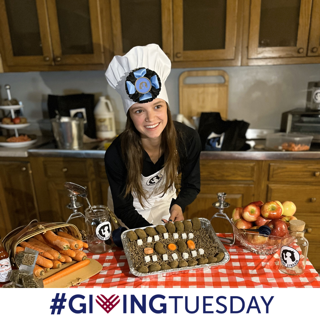 #GivingTuesday 2023 - Mane Stream Baking Show (5).png