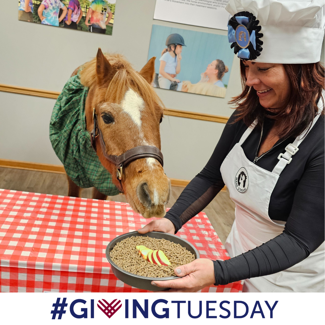 #GivingTuesday 2023 - Mane Stream Baking Show (7).png