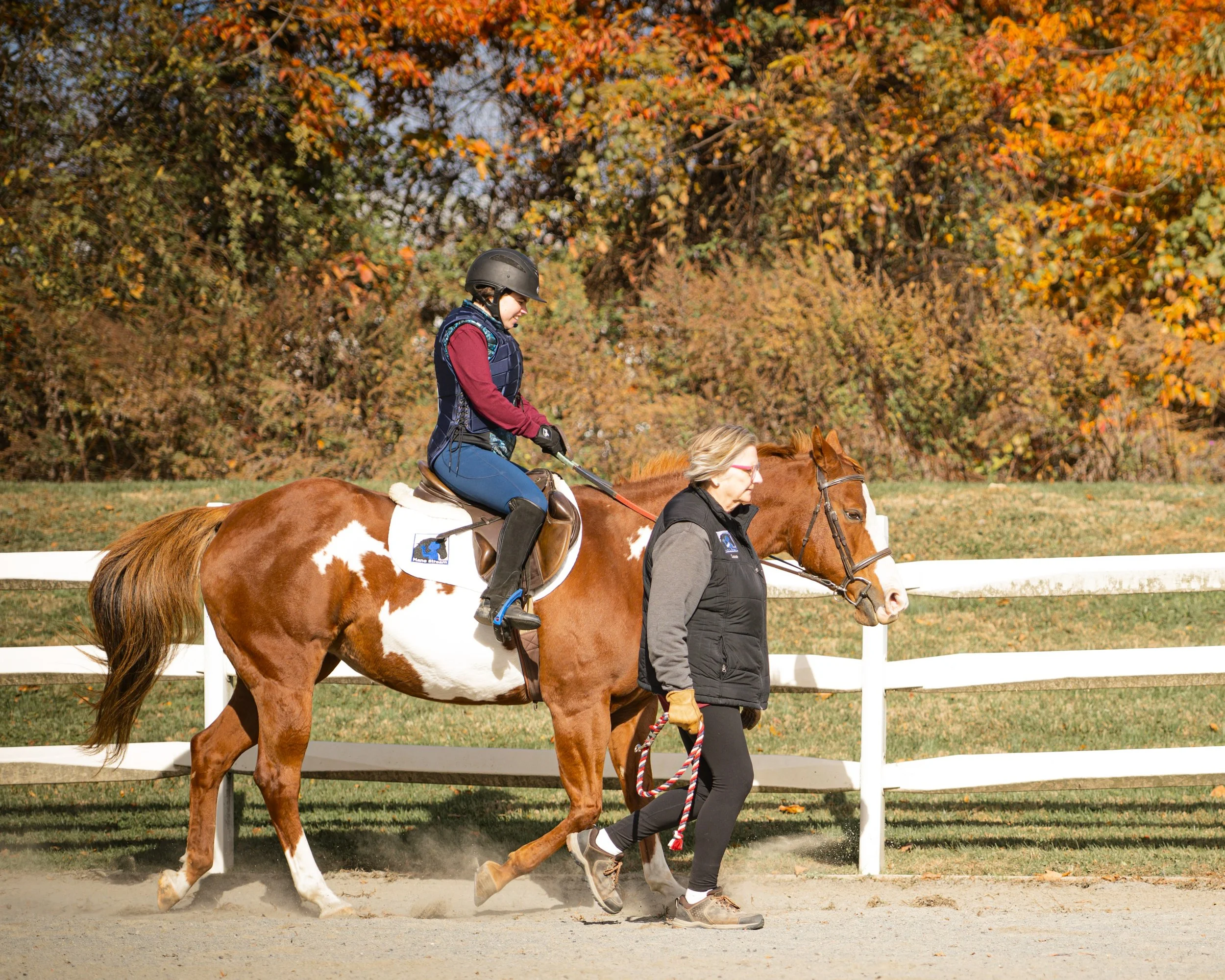 DSC_2637-land.jpg