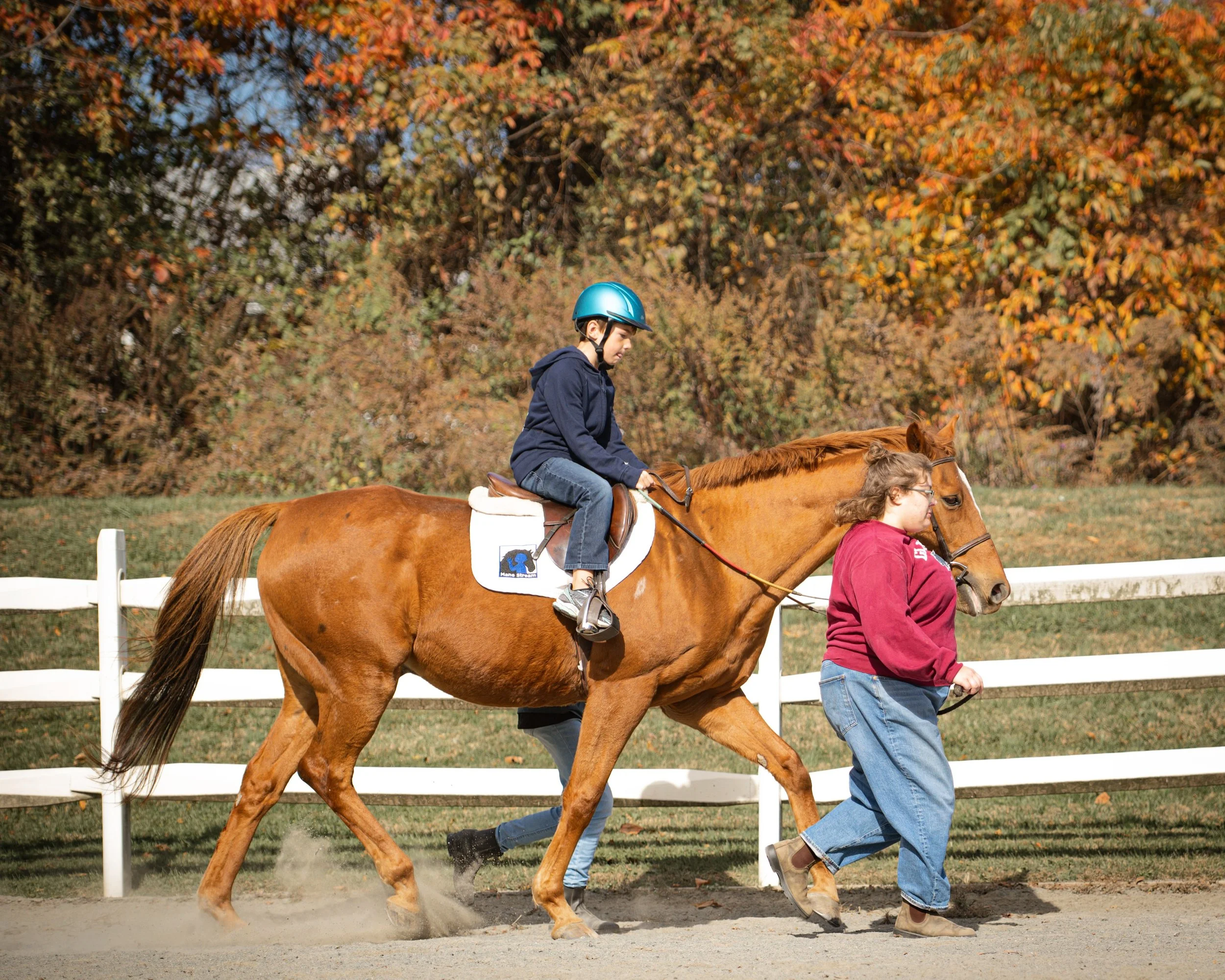 DSC_3104-land.jpg