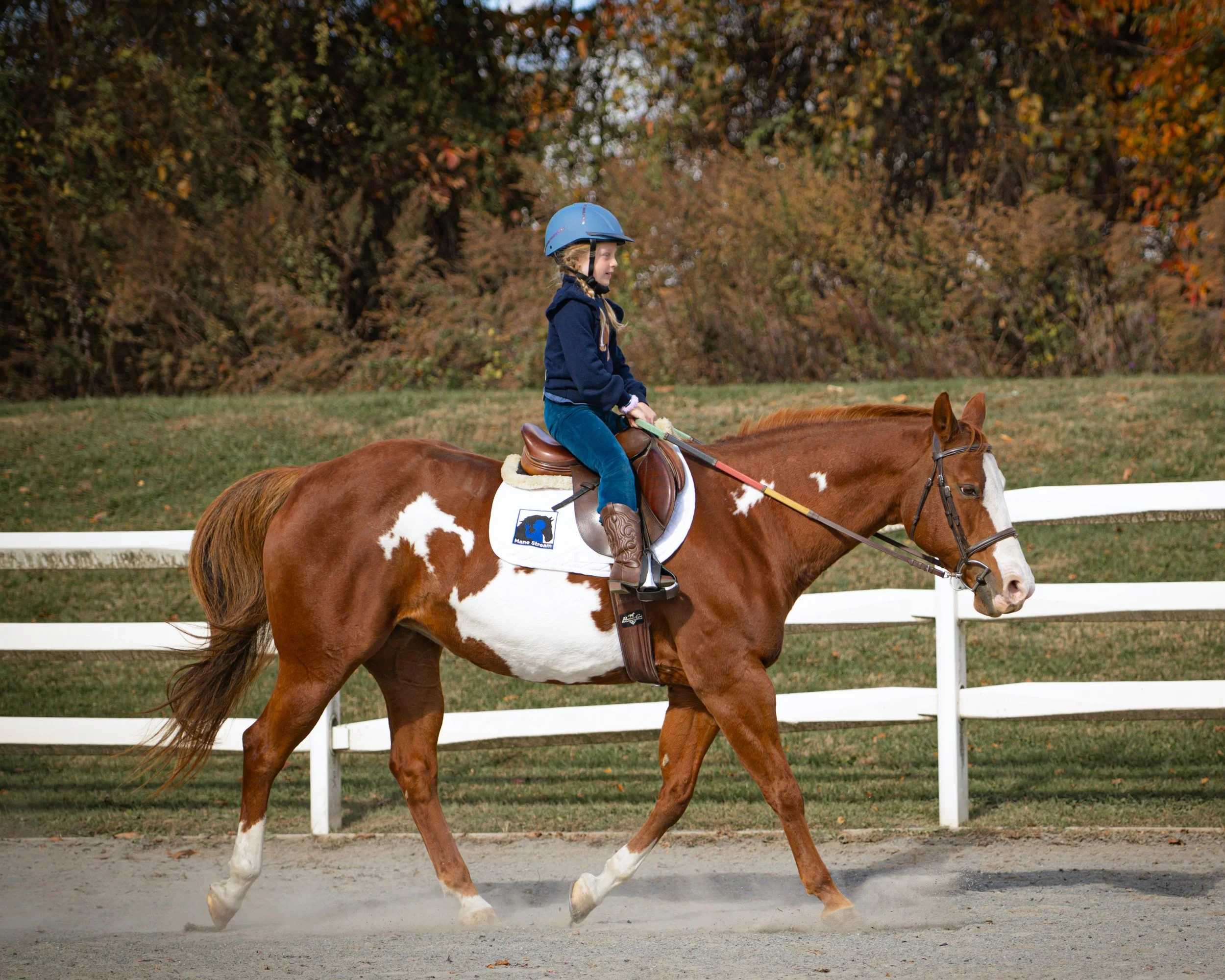 DSC_3214-land.jpg