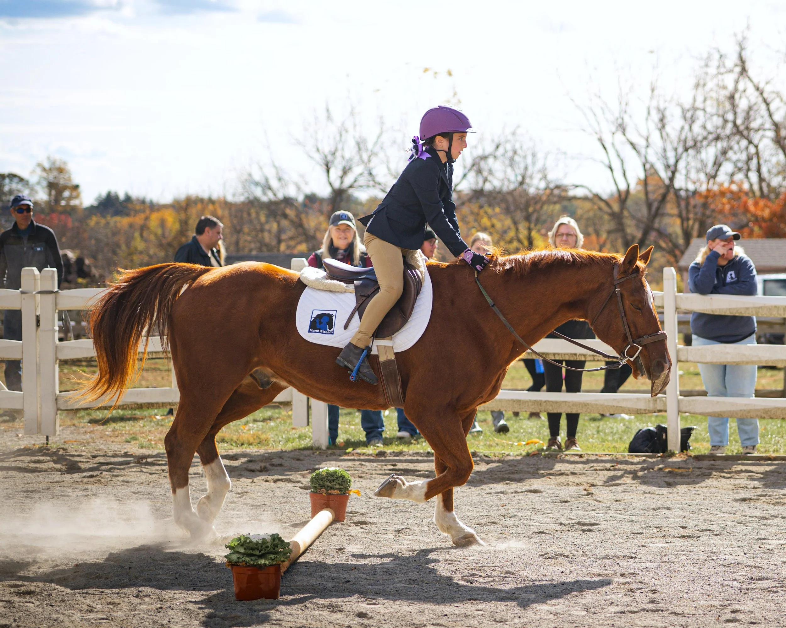 DSC_3261-land.jpg